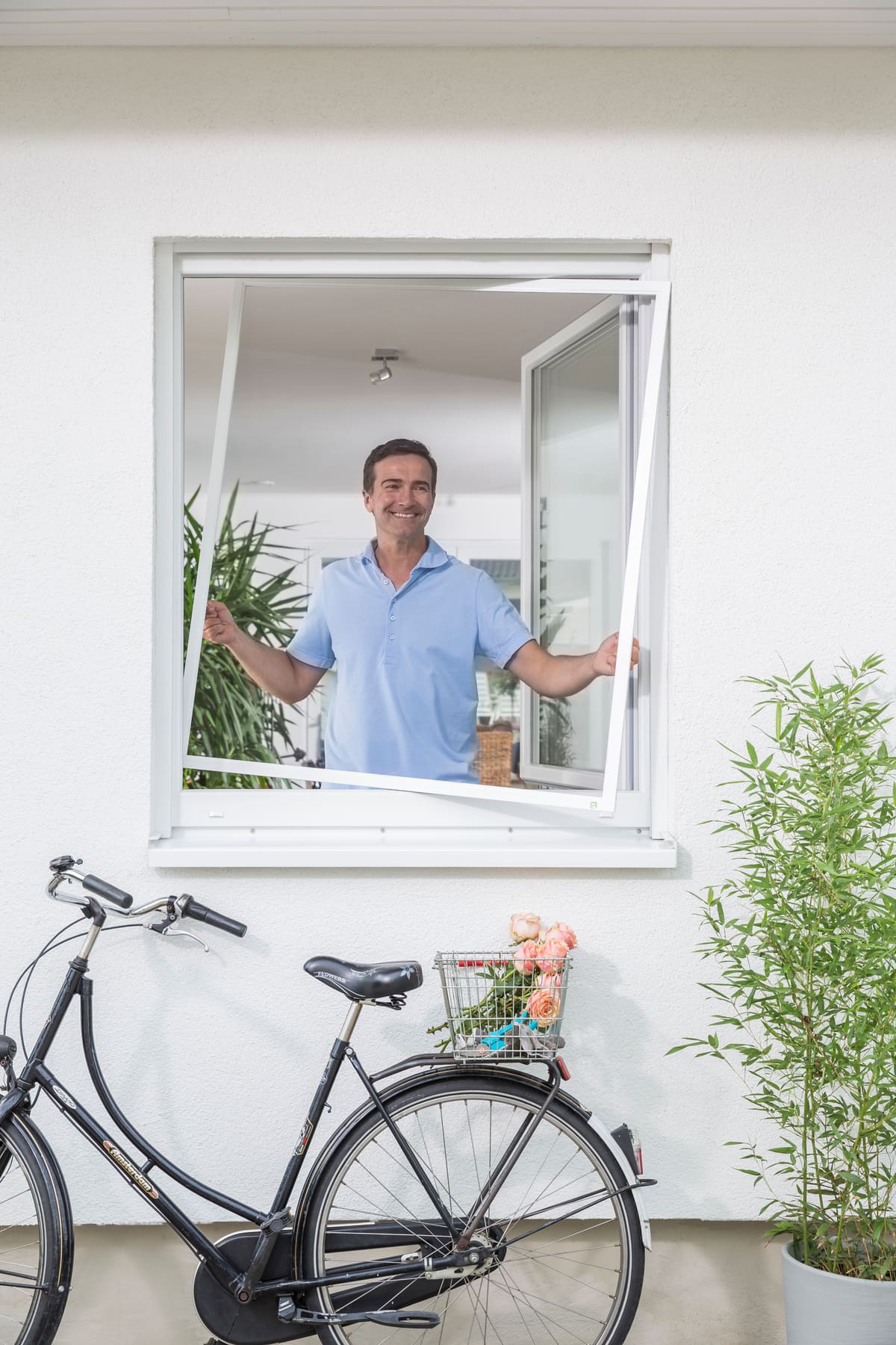 Fenster